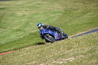 Advanced Group Blue Bikes